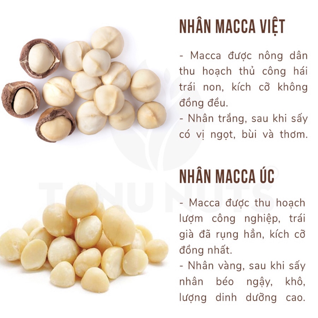 500G Hạt Macca Úc Nứt Vỏ Tự Nhiên Size 23-25(trung)- TẶNG ĐỒ KHUI