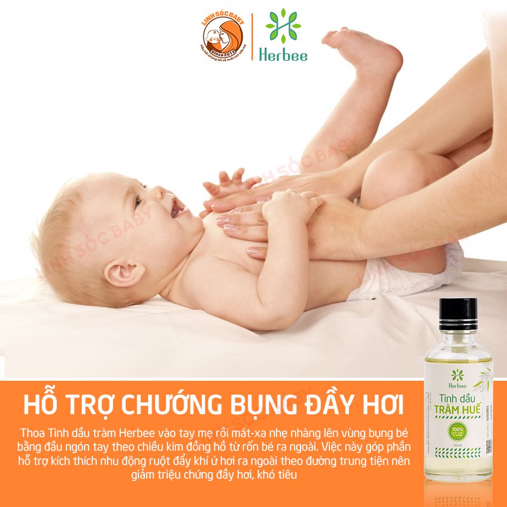 Tinh Dầu Tràm Huế Herbee Nguyên Chất