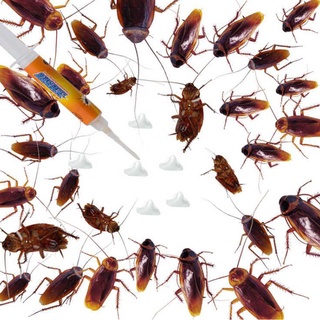 ⚡còn hàng⚡ gián diệt gián cực mạnh mồi gián khách sạn diệt côn tại nhà bẫy diệt gián