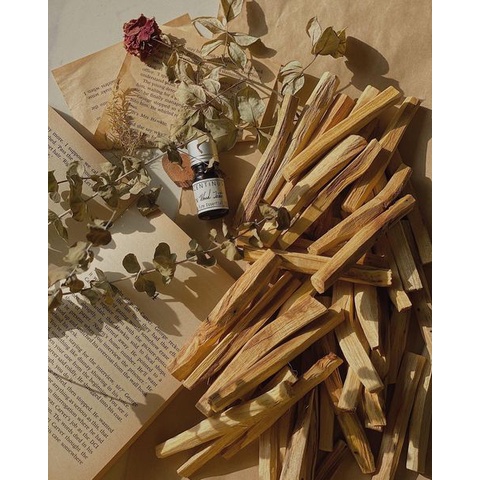 PALO SANTO -GỖ THANH TẨY NĂNG LƯỢNG