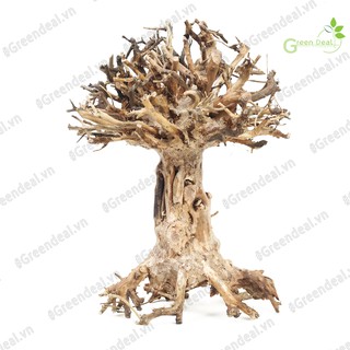 Bonsai Driftwood (GH-BS/17) | Lũa Bonsai trang trí hồ cá thủy sinh