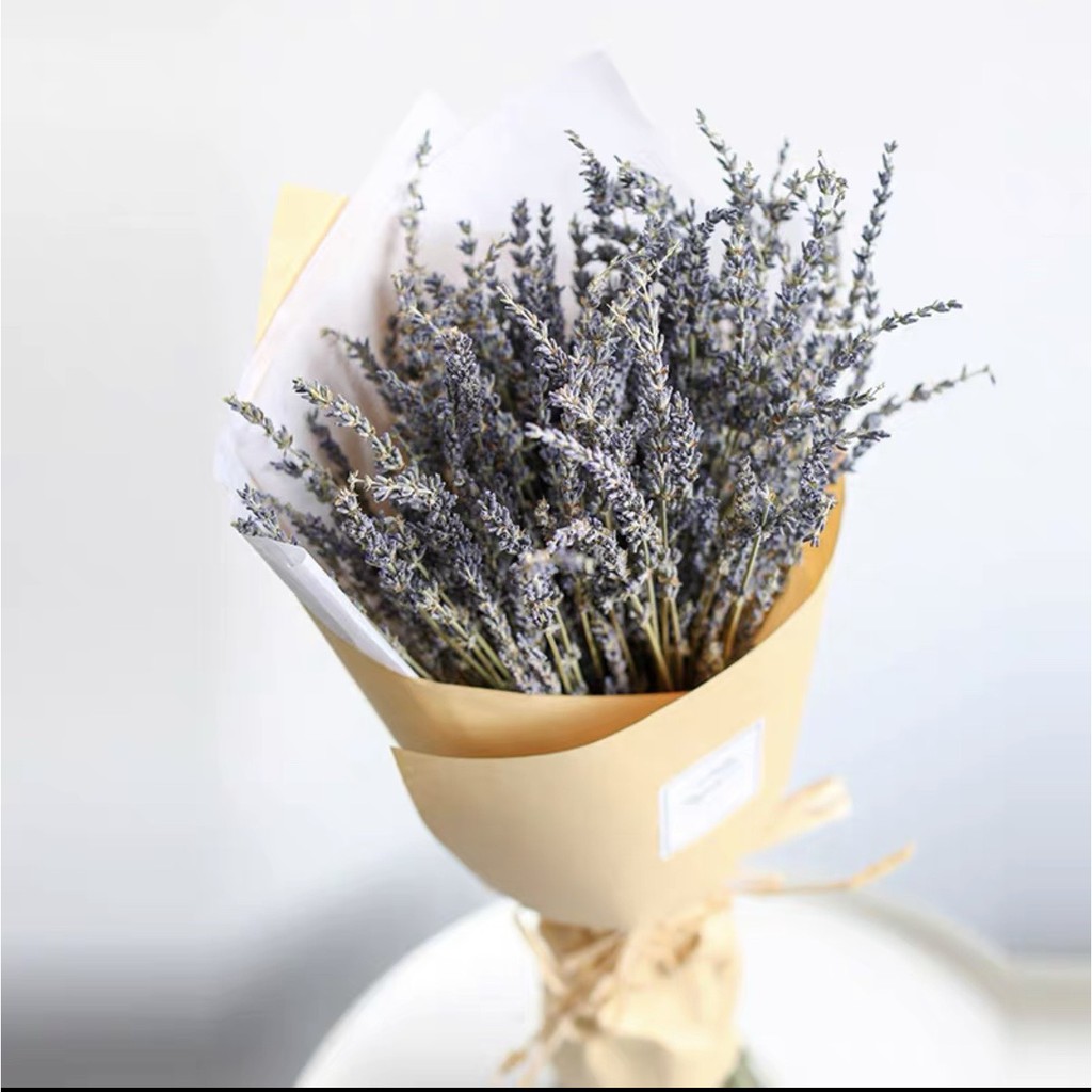 Hoa Lavender ❤️FREESHIP❤️Hoa Oải Hương Khô Decor Nhà Siêu Xinh