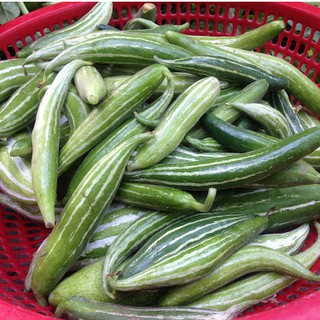 Hạt Giống Lặc Lày Sai Trái (5 Hạt)