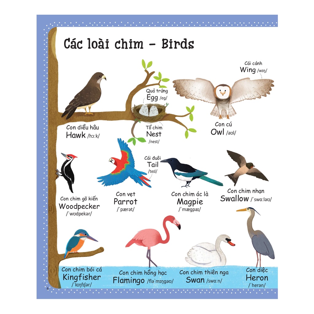 Sách Cuốn Sách Từ Vựng Đầu Tiên Của Tôi - My First Word Book- Thiên Nhiên - Nature