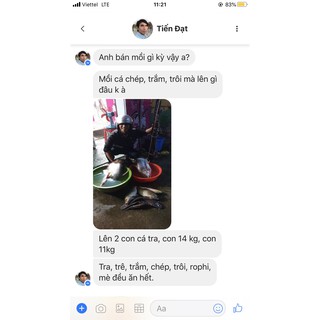 Bài mồi câu lance LK.Hoa