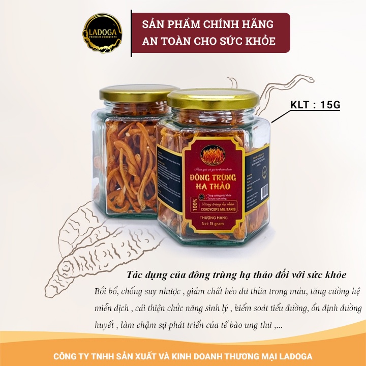 Nấm Đông Trùng Hạ Thảo Khô LADOGA Sấy Thăng Hoa Thượng Hạng Đóng Hộp Lịch Sự 10 Gam và 15 Gam