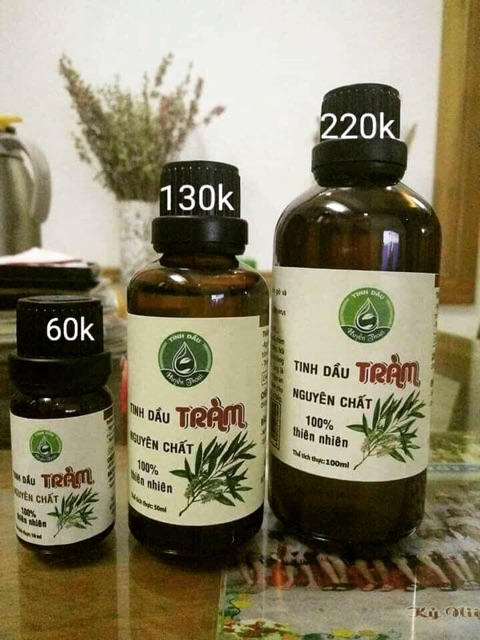 TINH DẦU TRÀM NGUYÊN CHẤT HUYỀN THOẠI