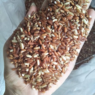 Gạo Lứt đỏ dẻo Điện Biên