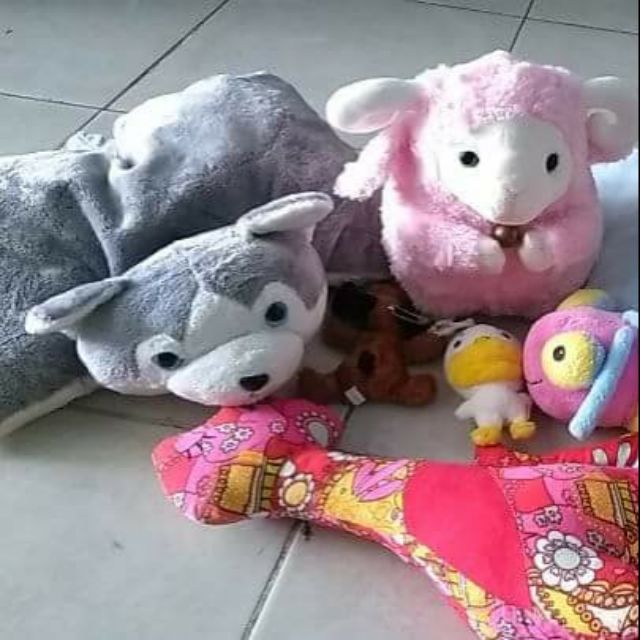 Gấu của Bảo yến