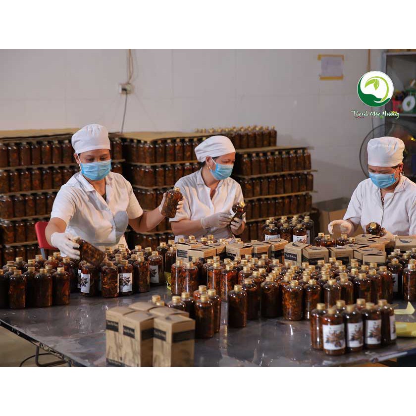 Thảo Dược Xoa Bóp Xương Khớp Người Dao THANH MỘC HƯƠNG 500ml Chính Hãng