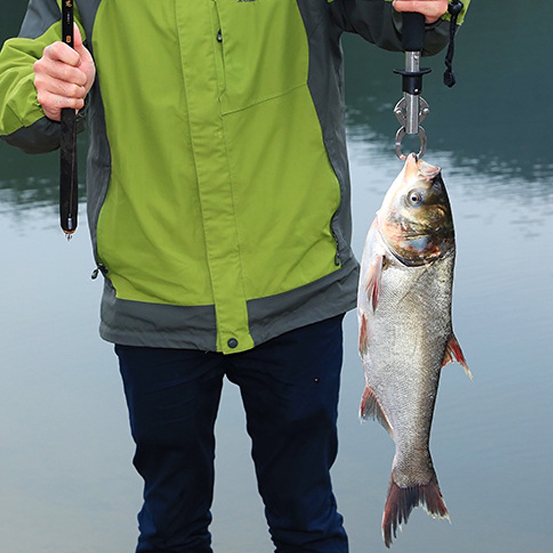 Thước Đo Chiều Cao Cá Bằng Thép Không Gỉ