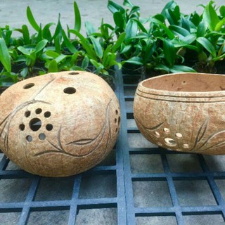 Chậu gáo dừa có hoa văn
