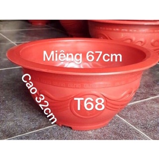 Chậu trồng cây, sen súng T68 kích thước 68x32cm