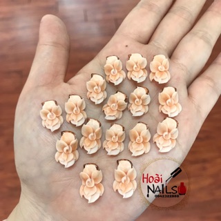 Hoa bột dáng dẹt ôm đá( 1b) - Phụ kiện Nail