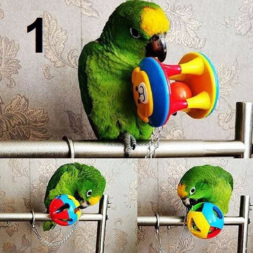 Bóng đồ chơi màu sắc cho vẹt kèm xích