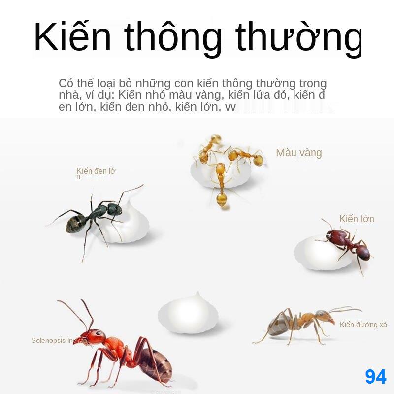 2021 ◊■Thuốc diệt kiến ​​nhà một tổ chậu hoa trong nhà bếp ô tô mồi kiến, ​​đỏ, ​​đen, ​​vàng mạnh