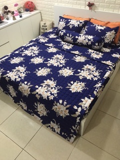 set ga phủ poly