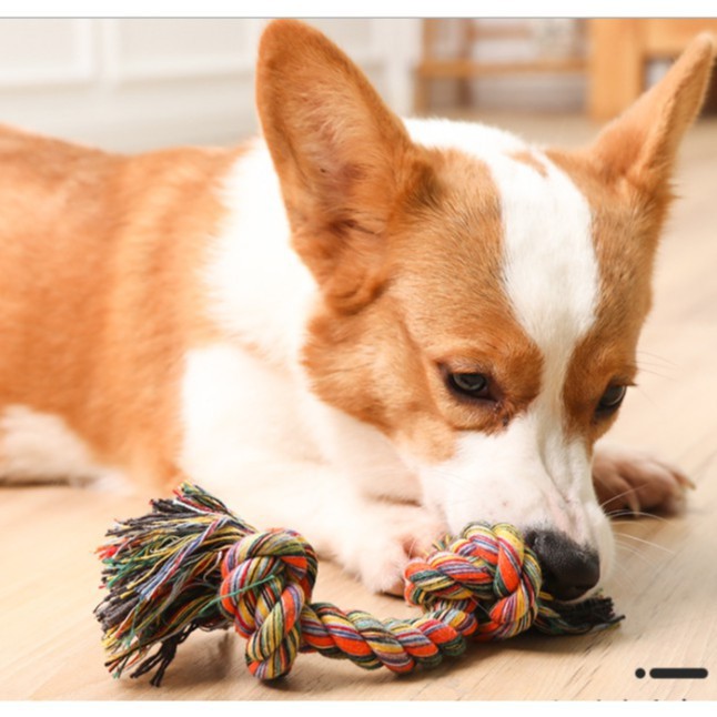 Đồ chơi dây thừng huấn luyện Chó poodle, corgi, husky, lạp xưởng - Đồ cho chó cún gặm ngứa răng lợi giảm stress Ngaupet