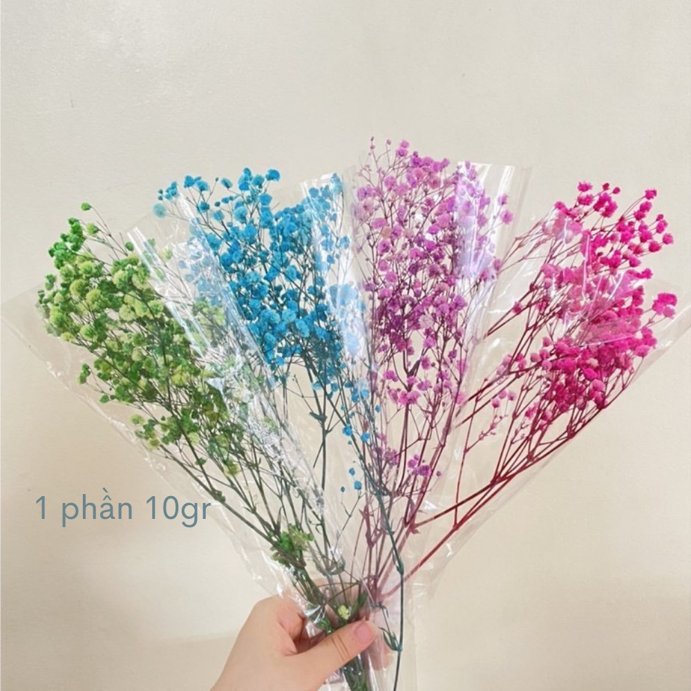 Hoa Baby Khô Trang Trí - Gypsophila Hồng Nhạt Bó 10Gr