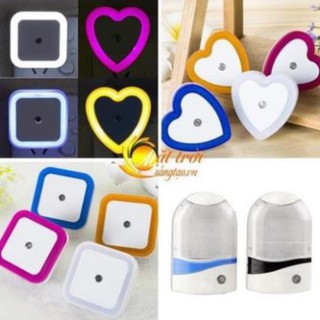 Đàn ngủ cảm biến đa dạng huongpt