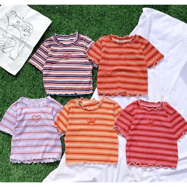 Áo kiểu croptop sọc đủ màu - vải tốt đẹp đủ màu - dễ phối đồ