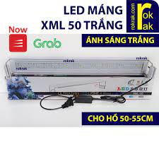 [Chính hãng]  Combo đèn máng XML 50cm ánh sáng trắng kèm cây sưởi Jebo 200W LONG THÀNH CÁ CẢNH