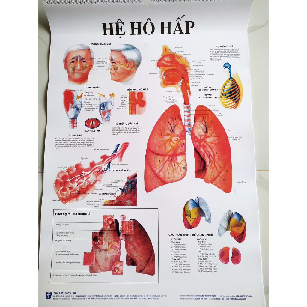 Bộ 13 tranh giải phẫu các hệ cơ quan trong cơ thể người- Nhà xuất bản y học- rõ nét- sinh động- kích thước 50cmx70cm