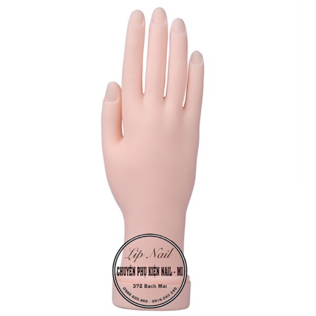 Bàn tay giả silicon nails