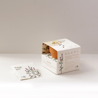 Kit Trồng Cây Mini - Cây Húng Quế | Plant Kit - Basil