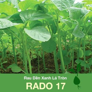 Hạt Giống Rau Dền Xanh Lá Tròn Rạng Đông