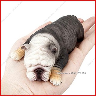 Mô Hình Chó Bulldog Mặt Xệ - 4679