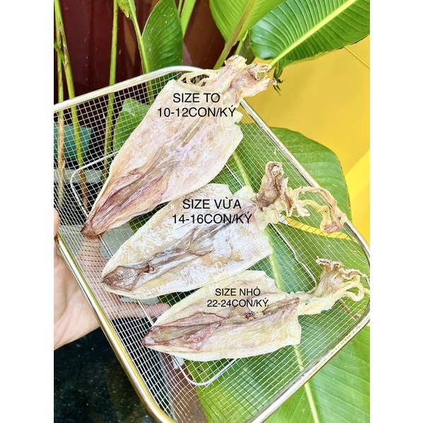MỰC CÂU KHÔ ĐÀ NẴNG SIZE NHỎ