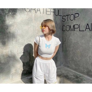 ☀️Áo Croptop Banawa Casar