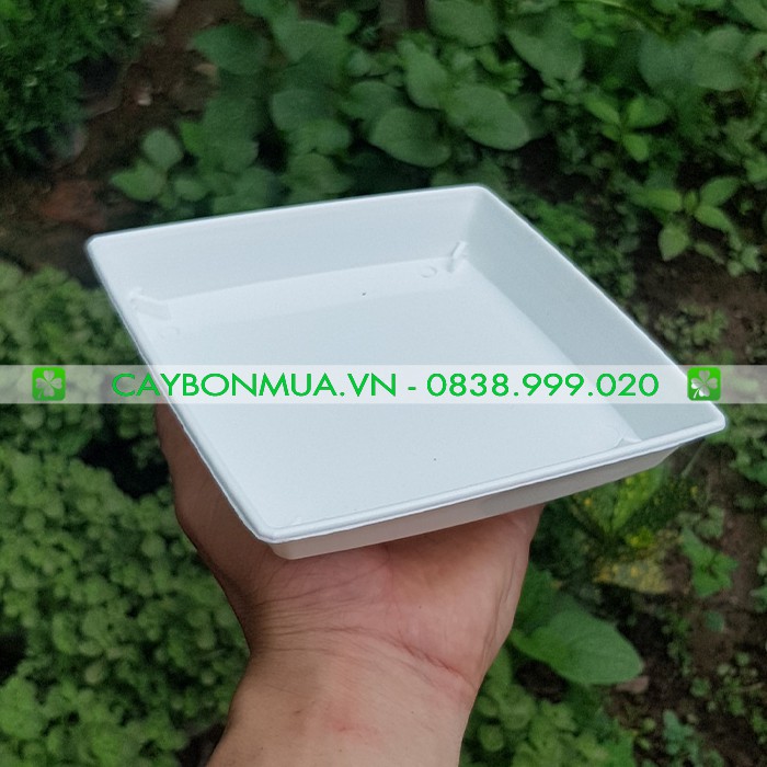 Đĩa nhựa vuông trắng cao cấp, nhiều size lựa chọn