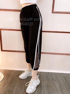 quần đũi sọc phối lưới cực hót