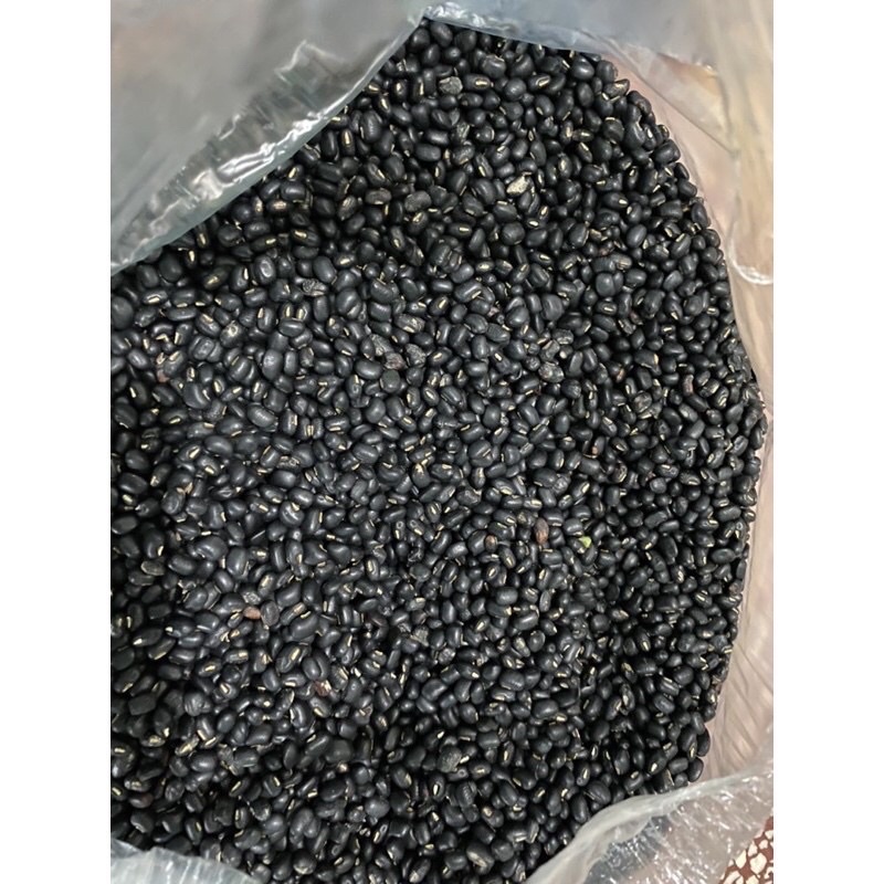 100gram đỗ đen sống xanh lòng quê hạt siêu nhỏ