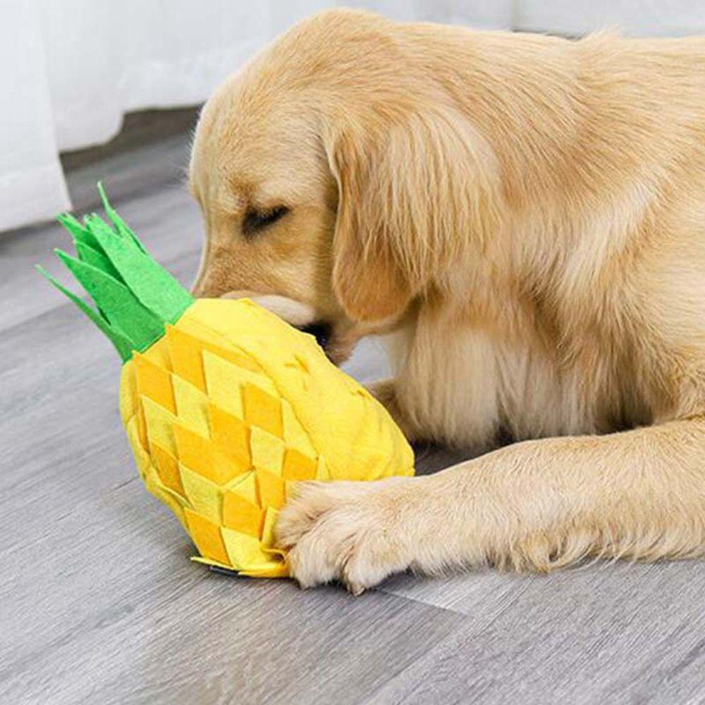 Thảm Đồ Chơi Phát Ra Âm Thanh Vui Nhộn Hỗ Trợ Giáo Dục Cho Thú Cưng