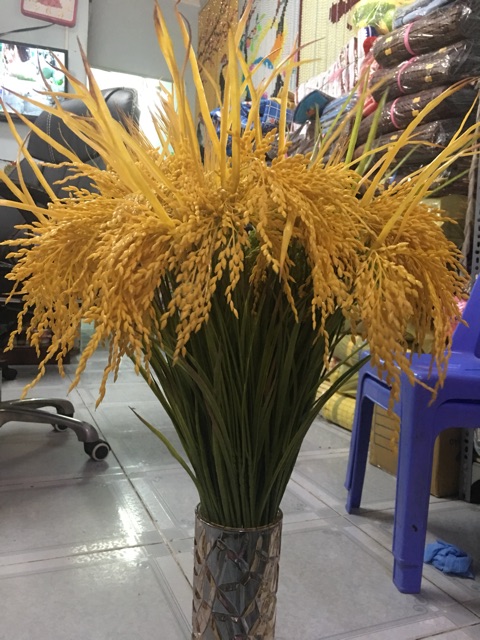 Com bo 25 cây  bông lúa vàng ấm no cả nhà