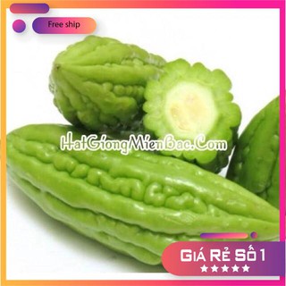 HẠT GIỐNG MƯỚP ĐẮNG - 2gr LUCKY.VN