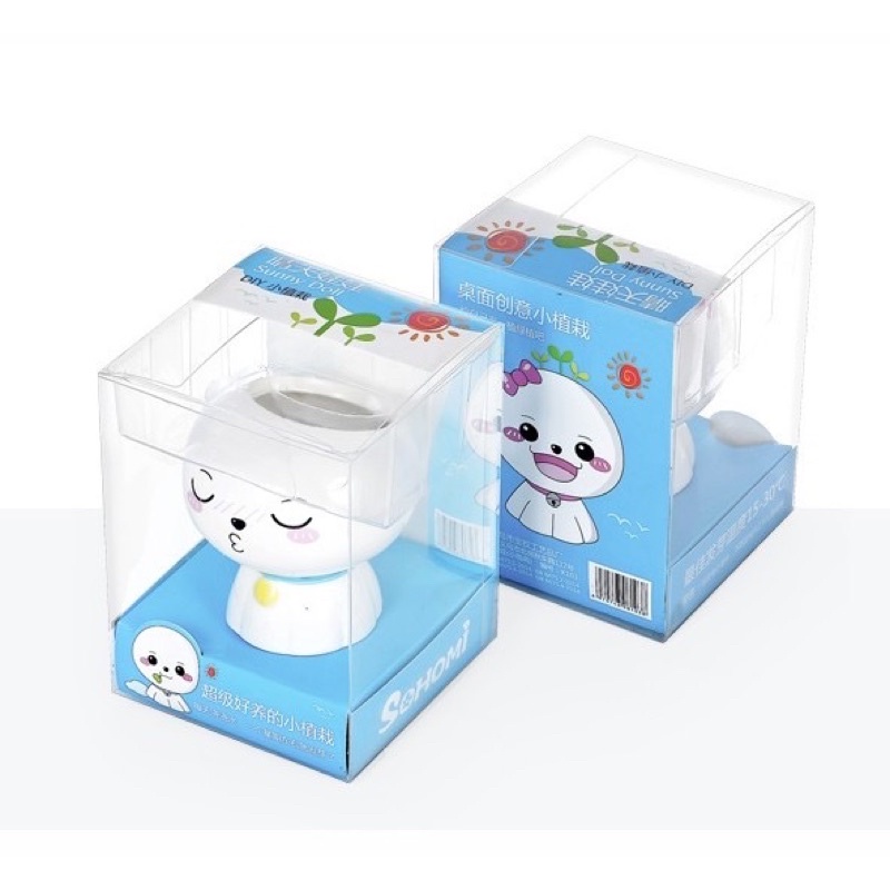 Chậu kiểng mini trang trí bàn trà/phòng khách - tặng kèm hạt giống