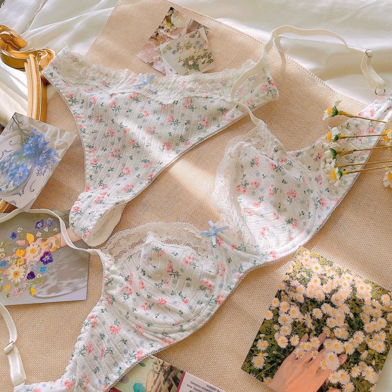 Set Bộ đồ lót dễ thương có gọng B003