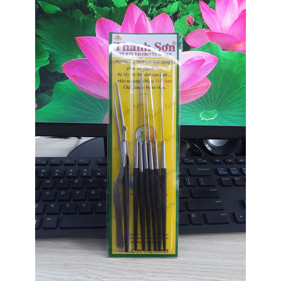 Bộ lấy ráy tai Thanh Sơn 8 cây