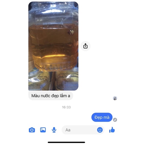 Bột lá bàng 5g - dưỡng cá betta thay thế lá bàng