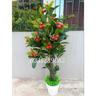 Cây giả - Cây sơri (cherry) đỏ 1,6m, 2m trang trí cực xinh.