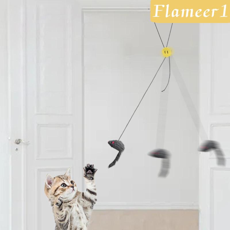 [Flameameer1] Đồ Chơi Tàu Lửa, Chuột Chaser Đồ Chơi Tương Tác Cho Mèo