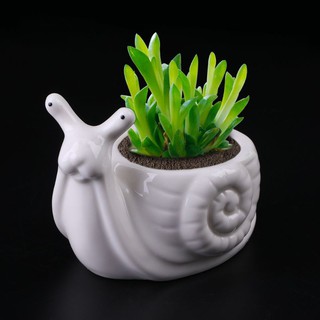 Snails Ceramic Flower Pot Succulent Plant Flowerpot Planter
