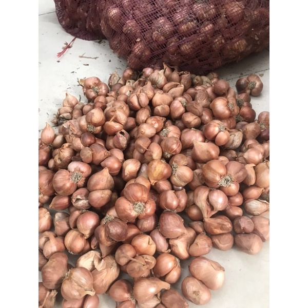 500g Hành ta loại 1 cực chất