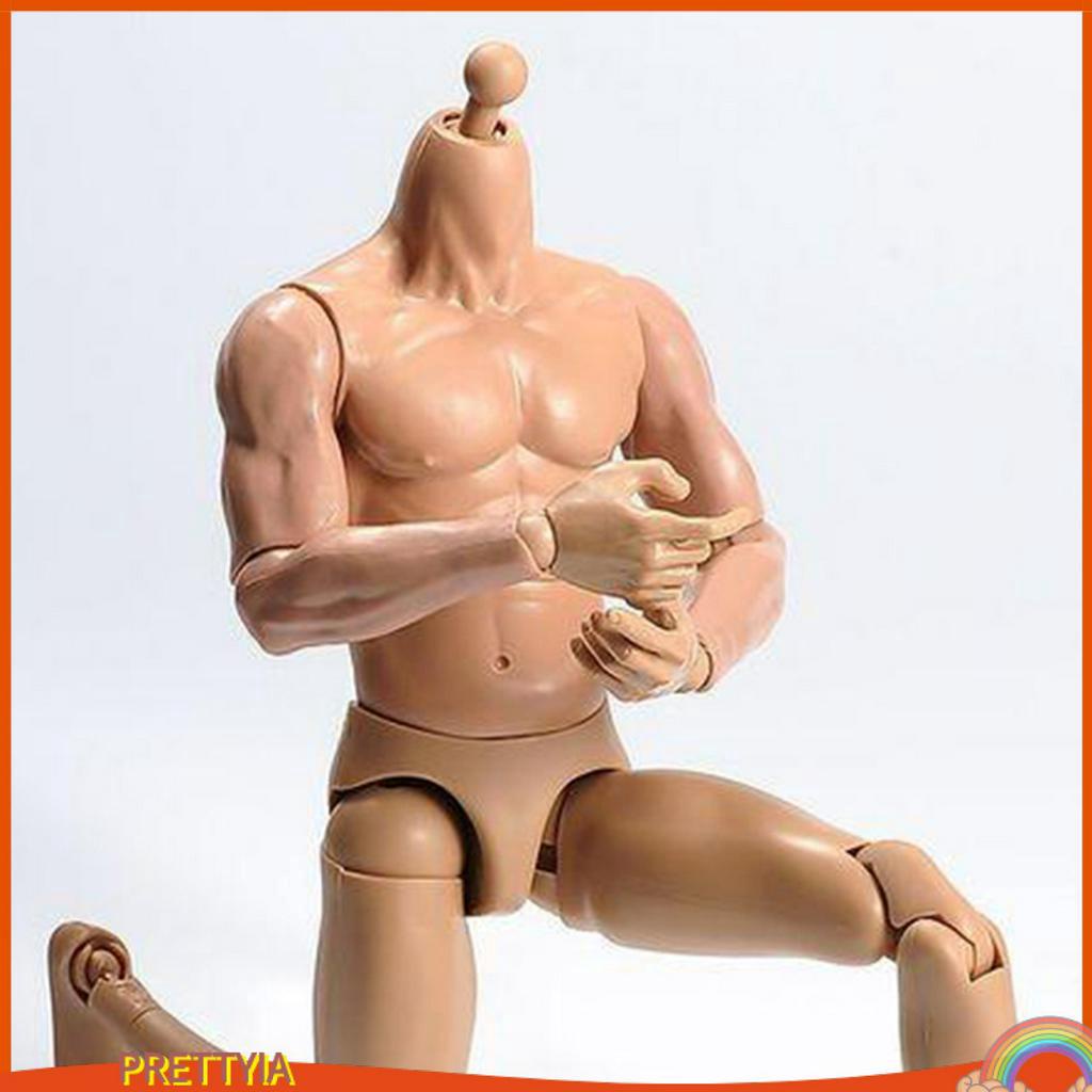 Mô Hình Cơ Thể Nam Tỉ Lệ 1 / 6