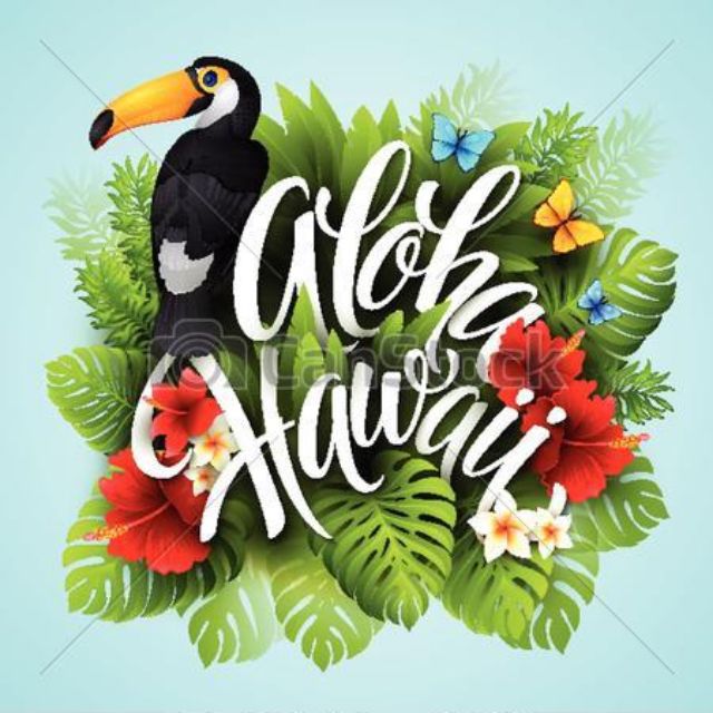 Aloha Shop- Hàng Đức-Pháp