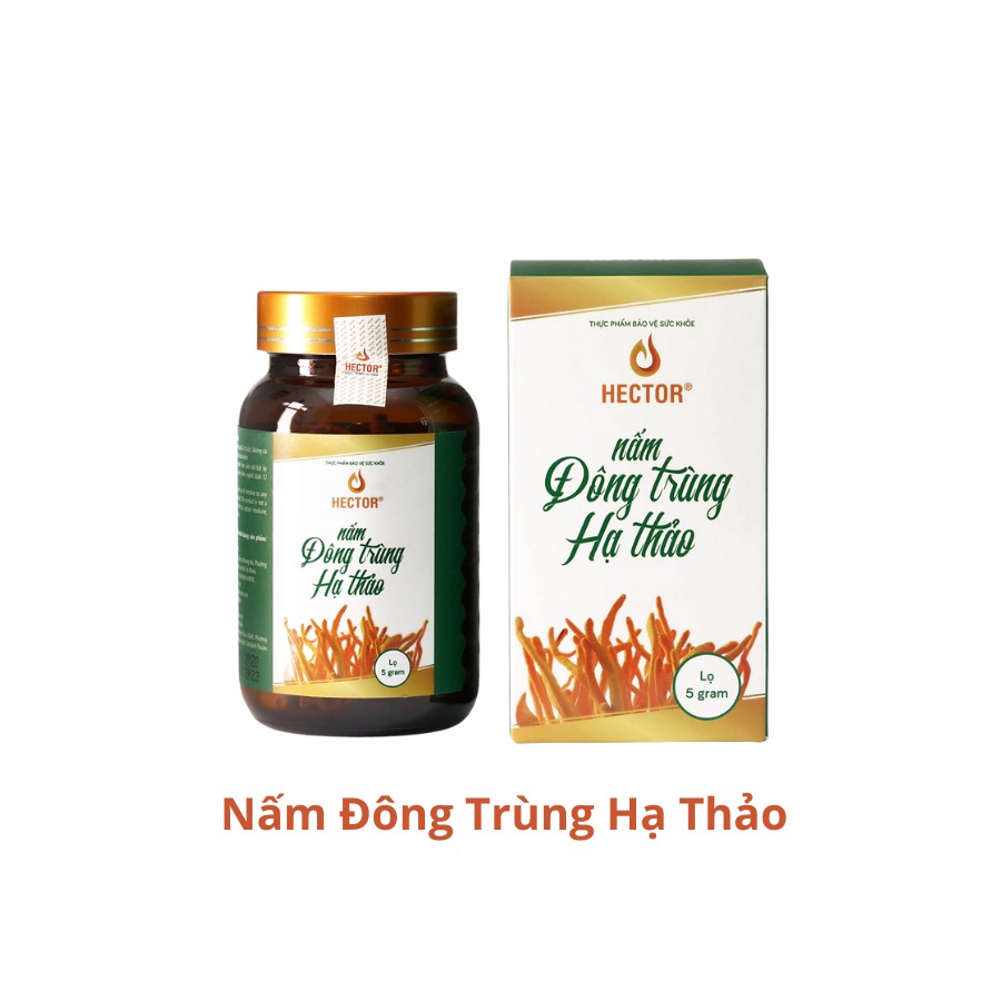 Đông trùng hạ thảo khô sấy thăng hoa Hector hỗ trợ tăng cường sức khỏe 5g